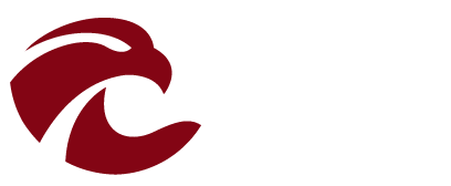 Logo Footer